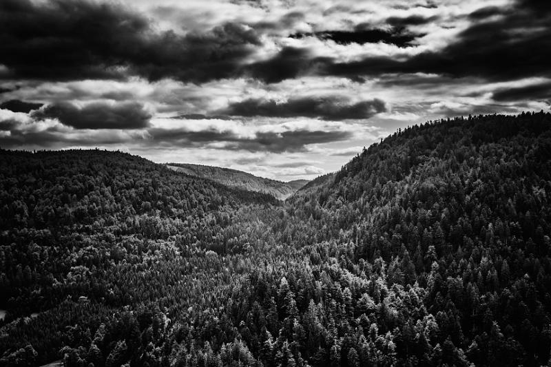 2017_08_21_Vosges (0096)b-w.jpg - Roche du Diable (Vosges 2017)